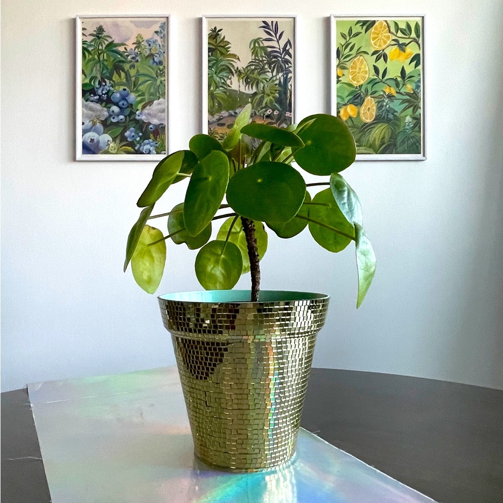 Hand Made Gold Mirror Disco Planter Pot ✨🪩
